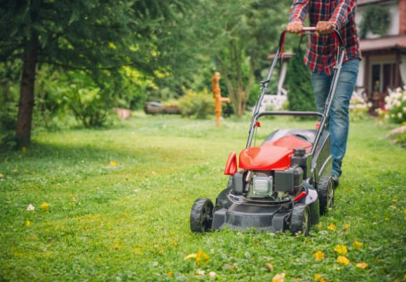 Comment changer la courroie de sa tondeuse : guide pratique